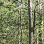 000001T0_s004-150x150